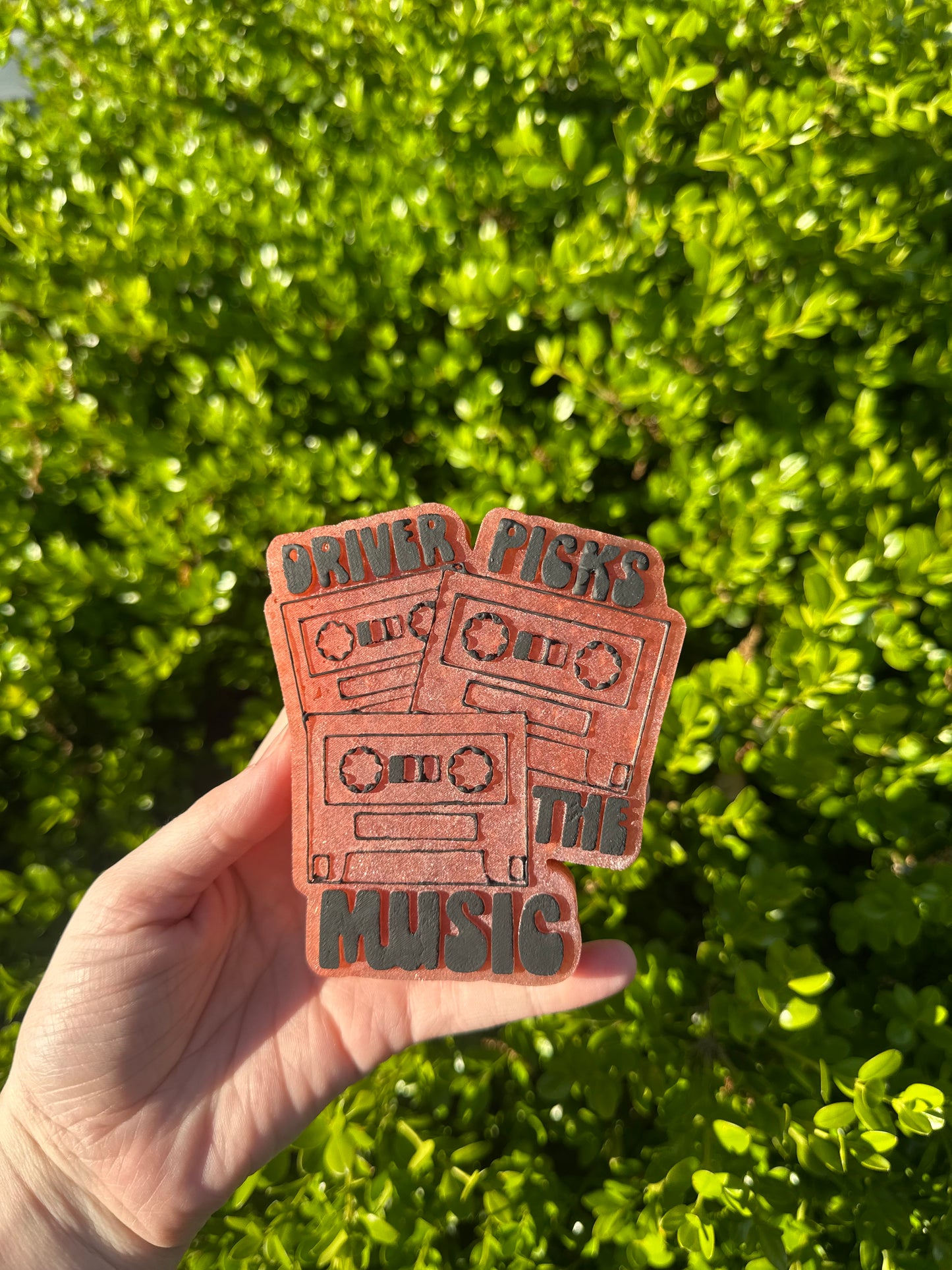Driver Picks The Music - Silicone Mold ONLY