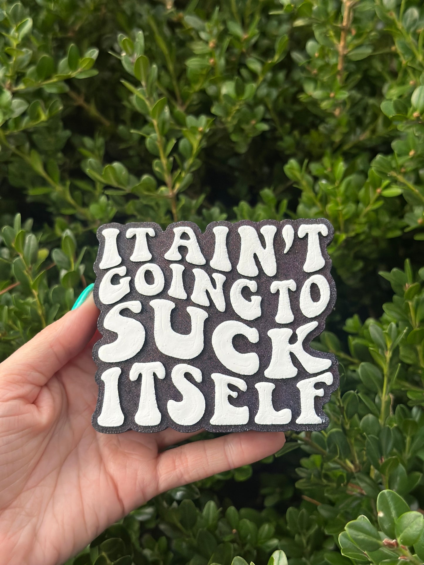 It Ain't Going To Suck Itself - Silicone Mold Only
