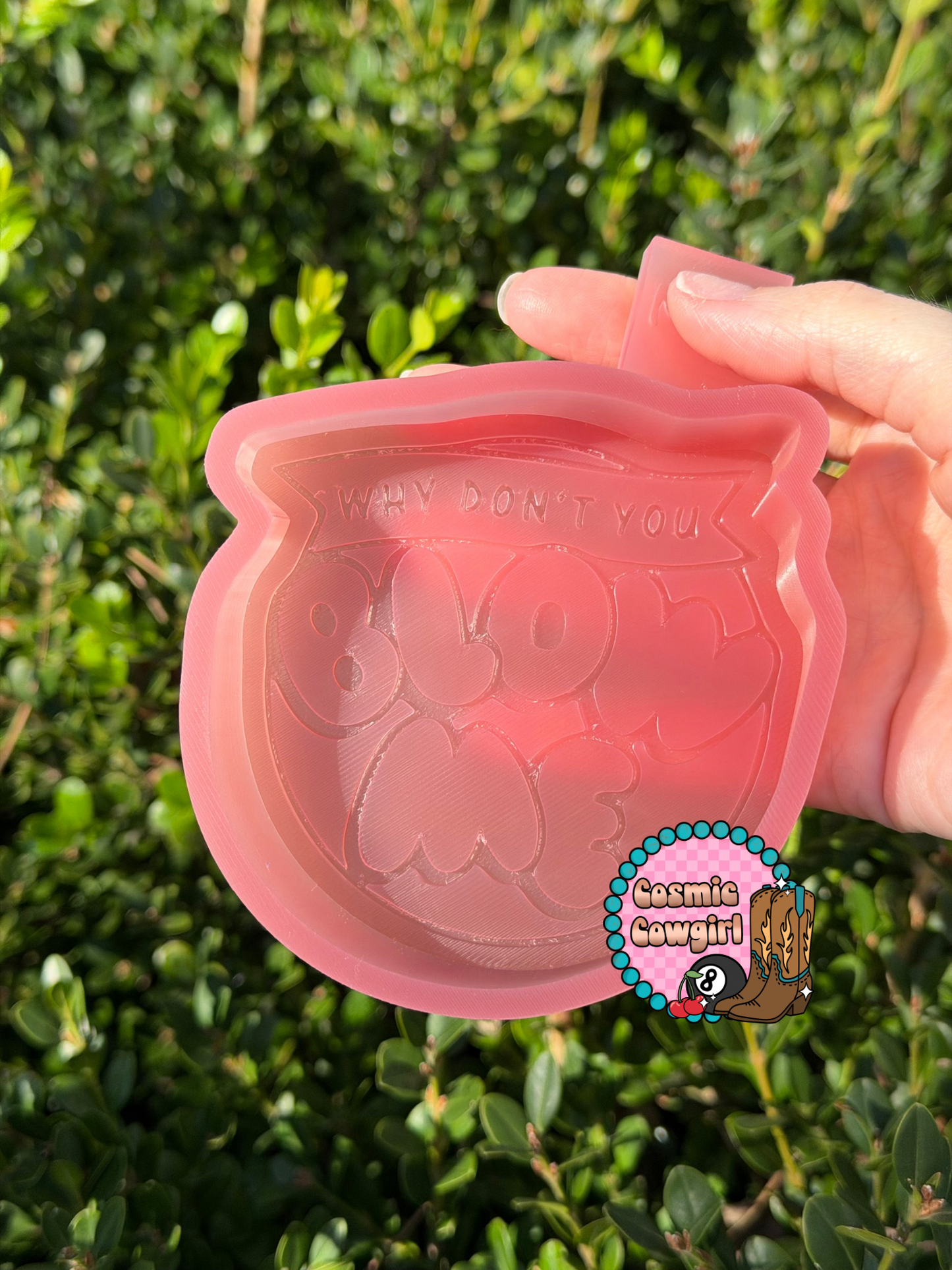 Why Don't You Blow Me - Silicone Mold Only