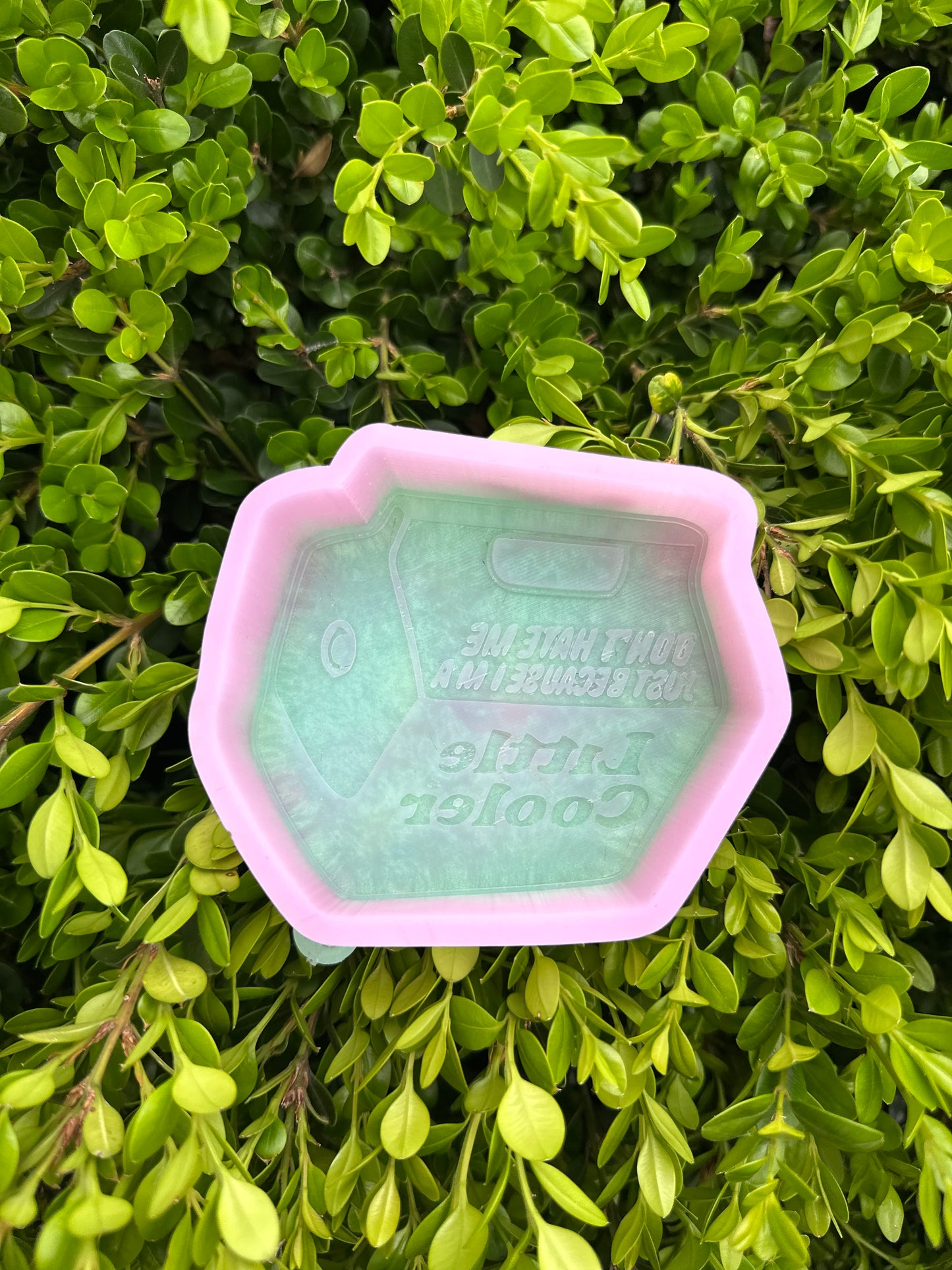 Little Cooler - MOLD ONLY