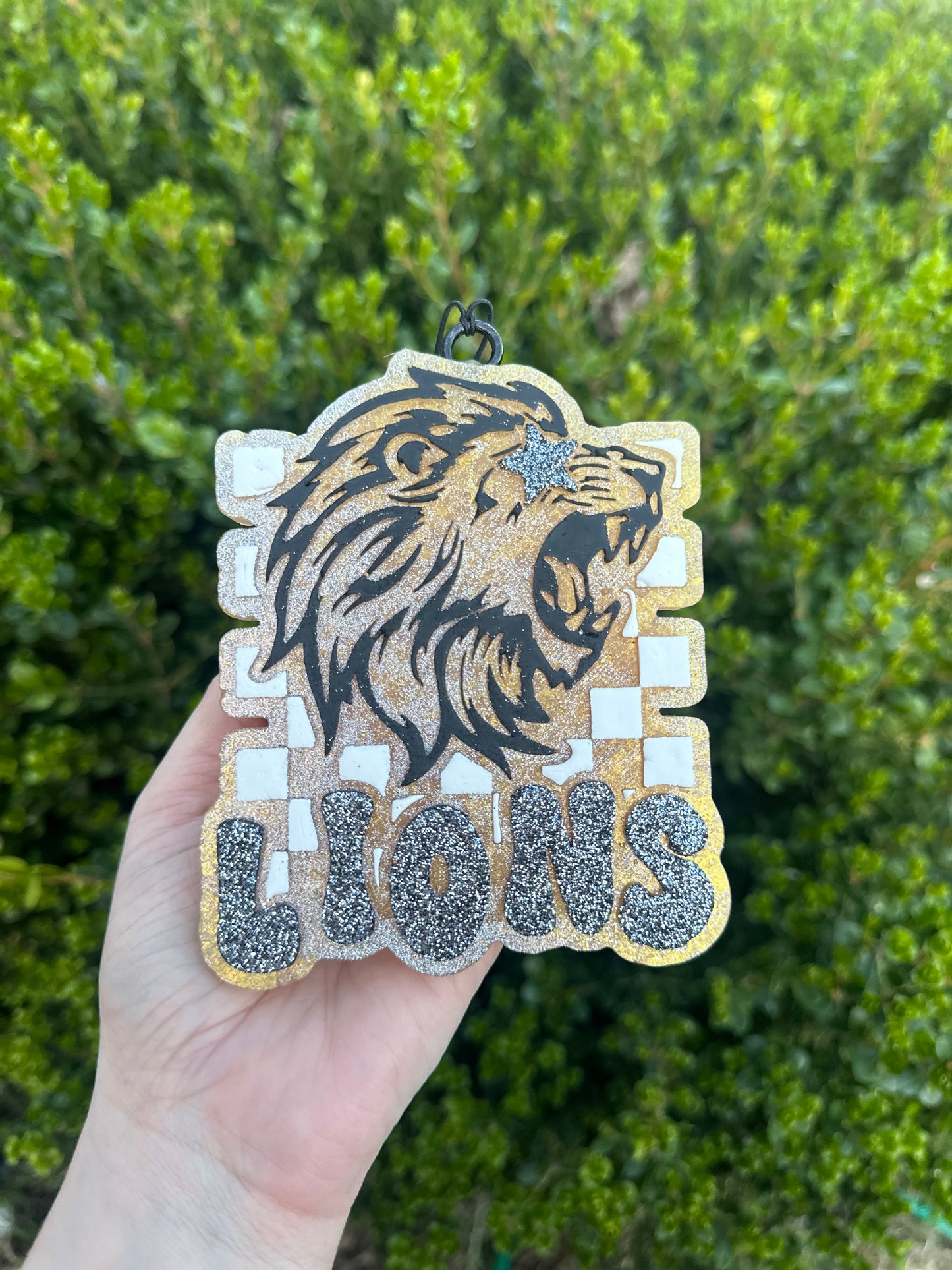 Lions - Freshie