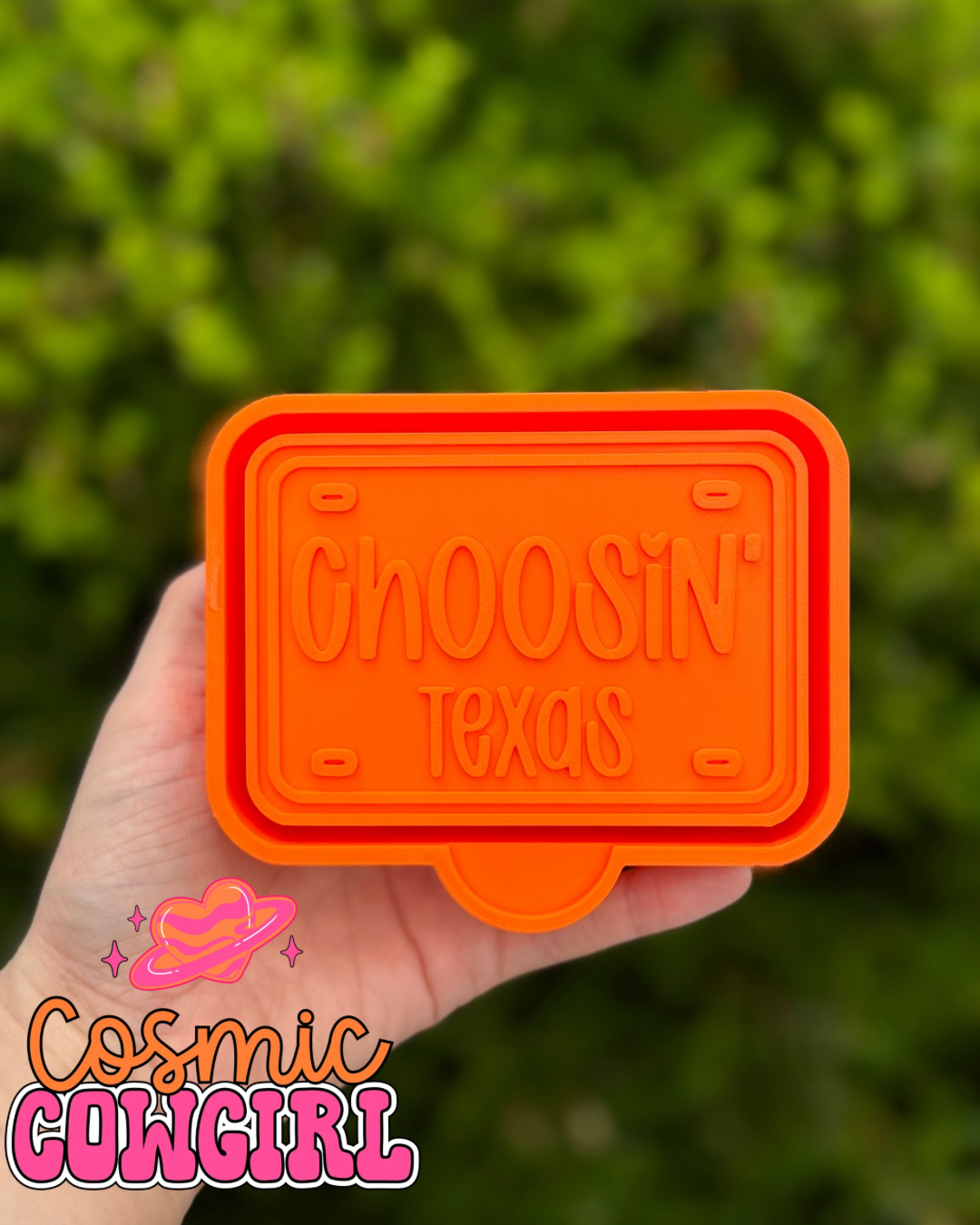 Choosin’ Texas - Silicone Mold